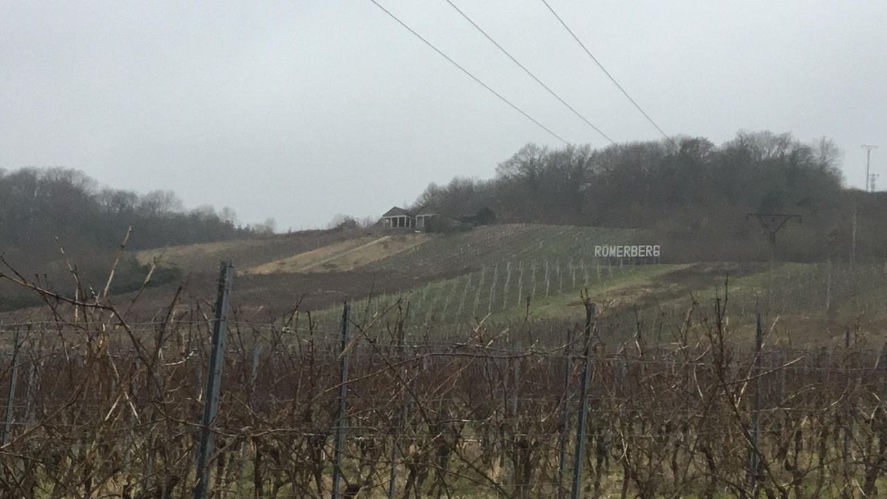 BF2306BD-9C66-4913-A5A9-FB090F082A46 BF2306BD-9C66-4913-A5A9-FB090F082A46